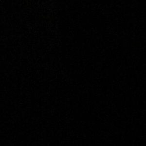 Meet your Posher, Allie